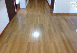 IMG_7411.JPG
