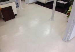 IMG_7620.JPG
