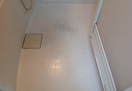 IMG_7852.JPG